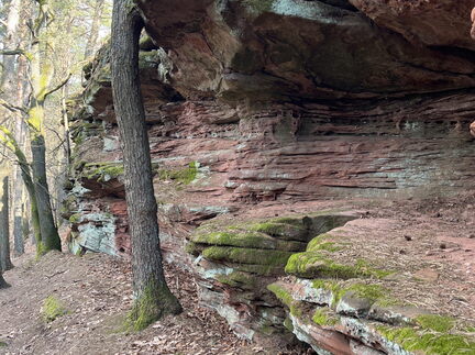 23-02-28 12-53-06 4475